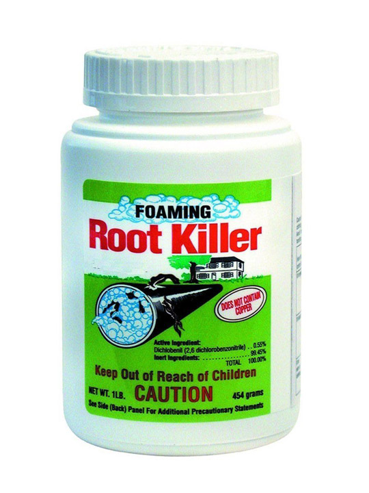 Drain Root Treatment